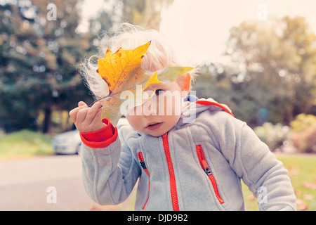 Allemagne, Bonn, Baby Boy covering face avec des feuilles d'automne je Banque D'Images