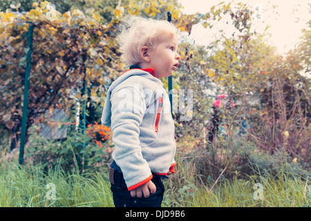 Allemagne, Bonn, Baby Boy explorer jardin Banque D'Images