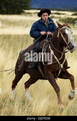 Son cheval équitation Gaucho.Patagonie.Chili Banque D'Images