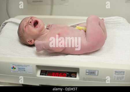 Newborn baby boy la pesée à l'hôpital théâtre de la maternité sur la salle de travail à l'hôpital, Kingston Upon Thames, Royaume-Uni Banque D'Images