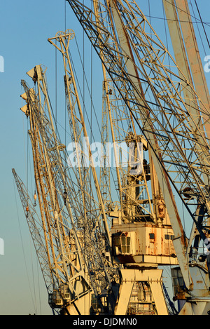 Grues portuaires de manutention au port-musée, Hambourg, Allemagne Banque D'Images