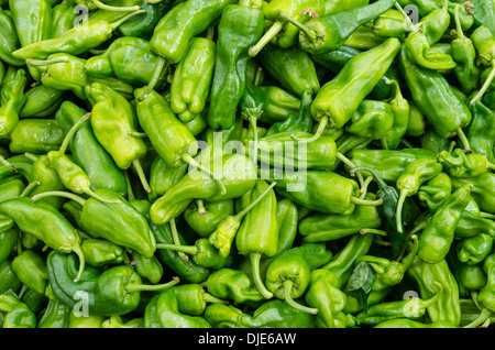 Padron poivrons sur l'affichage à un marché de producteurs Banque D'Images