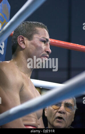 Jun 19, 2004 ; Carson, CA, USA ; PAULIE AYALA est défait par Marco Antonio Barrera dans une 10e ronde KO au Home Depot Center. Banque D'Images