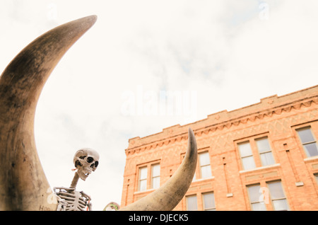 Assise sur le squelette de longhorns une voiture durant les célébrations de l'Halloween dans le Fort Worth Stock Yards. Banque D'Images