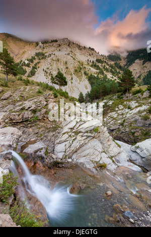 Aisa vallée, Parc Naturel de los Valles Occidentales, Jacetania, Pyrénées, la province d'Huesca, Aragon, Espagne, Europe. Banque D'Images