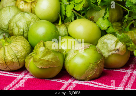 Un groupe de tomatillos fraîchement récolté Banque D'Images