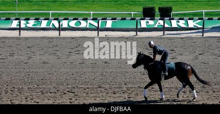 02 juin 2010, - Elmont, New York, USA - un cheval reprend sa course sur la voie principale ce matin devant la 142e exécution de la Belmont Stakes à Belmont Park Racecourse le samedi 5 juin. (Crédit Image : Â© Bryan Smith/ZUMA Press) RESTRICTIONS : * New York * hors droits Journaux Banque D'Images