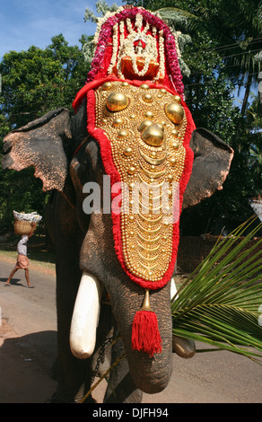 Temple de cérémonie indienne richement décorées avec des éléphants d'or avec caparaçon ayant déjeuner feuille de palmier, Varkala, Kerala, Inde Banque D'Images