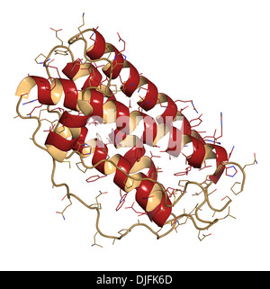 Facteur de stimulation des colonies de granulocytes (GCSF, le filgrastim) molécule. Utilisé pour traiter la neutropénie. Banque D'Images