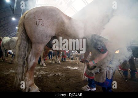 10 juil 2010 - Calgary, Alberta, Canada - l'équipe 'American Farriers' poussiéreux membre chaussures Franklin son projet de cheval pendant l'équipe de quatre hommes (classe 110) partie de la 31e World Championship forgerons concours tenu au Stampede de Calgary, l'un des plus grands rodéos dans le monde. (Crédit Image : © John Goodman/ZUMApress.com) Banque D'Images