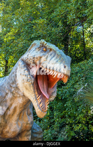 Modele de tyranosaurus rex dans la jungle Banque D'Images