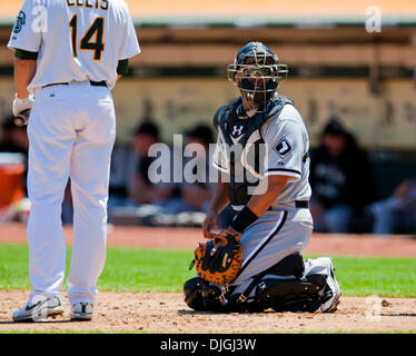 24 juillet 2010 - Oakland, CA, États-Unis d'Amérique - 24 juillet 2010 : Chicago White Sox catcher Ramon Castro (27) en action pendant le match entre l'Oakland A's et les White Sox de Chicago au Oakland-Alameda County Coliseum à Oakland CA. L'un défait les White Sox 10-2. Crédit obligatoire : Damon Tarver/ Southcreek Global. (Crédit Image : © Global/ZUMApress.com) Southcreek Banque D'Images