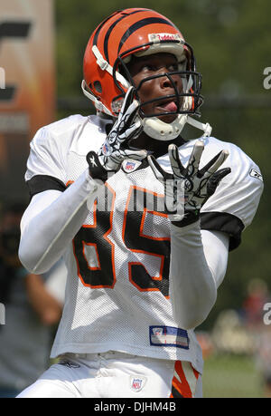 01 août 2010 - Georgetown, Kentucky, États-Unis d'Amérique - 01 août 2010 : Cincinnati Bengals wide receiver Tchad Ochocincon (85) dans la pratique de l'Université de Georgetown de Georgetown Ky.crédit obligatoire - Wayne Litmer/ Southcreek Global. (Crédit Image : Â© Southcreek/ZUMApress.com) mondial Banque D'Images