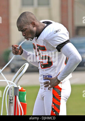 01 août 2010 - Georgetown, Kentucky, États-Unis d'Amérique - 01 août 2010 : Cincinnati Bengals le receveur Chad Ochocinco (85) obtient un verre le Bengals training camp à Georgetown Ky. Crédit obligatoire - Wayne Litmer/ Southcreek Global. (Crédit Image : Â© Southcreek/ZUMApress.com) mondial Banque D'Images