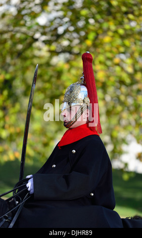 Un Blues et Royals guard, Constitution Hill, Londres, Royaume-Uni Banque D'Images