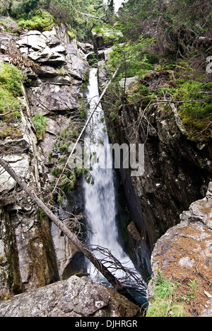 Cascade vodopad Obrovsky sur Maly Studeny potok entre Hrebienok et Zamkovskeho chata hut dans les Hautes Tatras en Slovaquie Banque D'Images