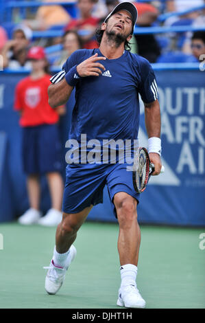 03 août 2010 - Washington Dc, District of Columbia, United States of America - 03 août 2010 : Legg Mason Tennis Classic, parrainé par Geico..Mens des célibataires, .Fernando Verdasco (ESP) rallyes retour après enregistrement d'un point de comparaison dans le second jeu pour gagner le match contre Karol BECK (SVK) (4-6, 7-5, 7-6) .crédit obligatoire : Roland Pintilie / Southcreek Global (Image Crédit : © Southcreek Banque D'Images