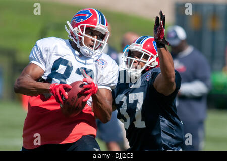 6 août 2010 : Buffalo Bills receveur LEE EVANS (# 83) et arrière défensif GEORGE WILSON (# 37) de la bataille sur une note de jouer au cours de camp d'entraînement à Saint John Fisher College à Pittsford, New York. (Crédit Image : © Mark Konezny/ZUMApress.com) Southcreek/mondial Banque D'Images