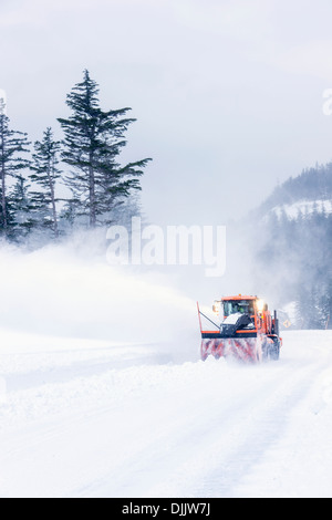 Ville de Whittier Déneigement Labourage de l'équipage la route de fusil Cove après une tempête de neige, hiver, Winter Whittier Banque D'Images