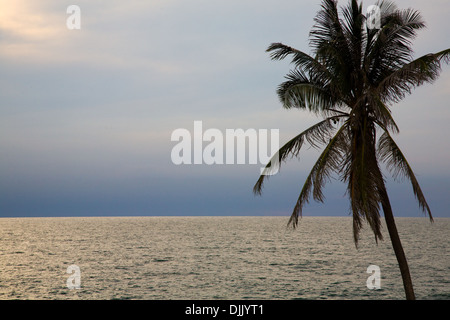 Palmiers et la mer près de Carthagène, Colombie Banque D'Images
