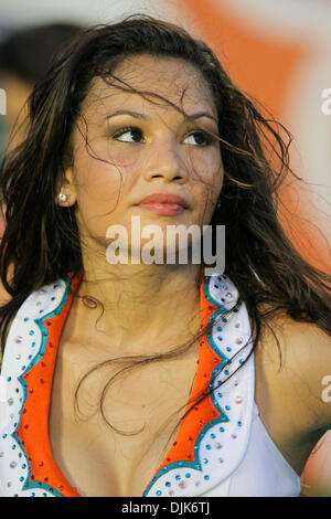 31 août 2010 - Miami Gardens, Florida, United States of America - 27 août 2010 : Miami Dolphins Cheerleaders pendant le jeu entre les Falcons d'Atlanta et le Miami Dolphins de Miami Gardens, Florida (Image Crédit : © Aaron Gilbert/ZUMApress.com) Southcreek/mondial Banque D'Images