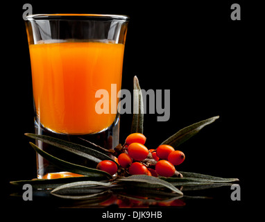 Liqueur-épine citrine citrine wit-épine fruits rouges sur fond noir Banque D'Images