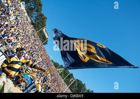 Septembre 04, 2010 - Berkeley, Californie, États-Unis d'Amérique - un étudiant Cal vagues un drapeau après un touché lors de la NCAA match entre la Californie et les Golden Bears de l'UC Davis Aggies à Memorial Stadium. Cal acheminés Davis 52-3. (Crédit Image : © Matt Cohen/ZUMApress.com) Southcreek/mondial Banque D'Images