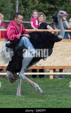 4 sept 2010 - Kiev, Ukraine - A man rides une autruche au cours d'une course d'Autruche dans une ferme. (Crédit Image : © PhotoXpress/ZUMApress.com) Banque D'Images