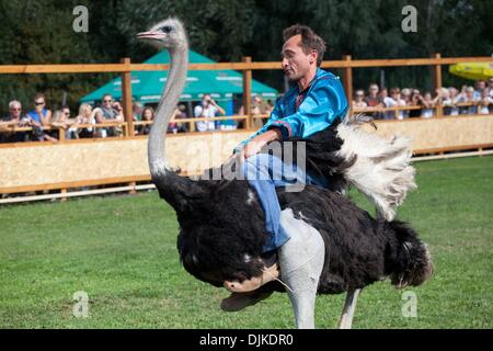 4 sept 2010 - Kiev, Ukraine - A man rides une autruche au cours d'une course d'Autruche dans une ferme. (Crédit Image : © PhotoXpress/ZUMApress.com) Banque D'Images