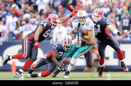 12 septembre 2010 - Orchard Park, NEW YORK - New York, USA - Etats-Unis - Orchard Park---fl-fins-factures-0912c-- Miami Dolphins ouvrent leur saison régulière contre les Bills de Buffalo au Ralph Wilson Stadium. Miami tight end Anthony Fasano détient en tant qu'il est touché par trois projets de loi dont l'Andra Davis, gauche, Donte Whitner, centre, et Paul Posluszny à droite. Robert Duyos, Sun Banque D'Images