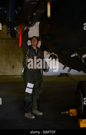 Le Capitaine Mario Marval, 492e Escadron de chasse, pilote effectue une inspection prévol sur un F-15E Strike Eagle pendant le Pavillon Bleu Banque D'Images