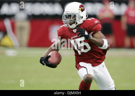 26 septembre 2010 - Glendale, Arizona, États-Unis d'Amérique - Arizona Cardinals wide receiver Steve Breaston (# 15) s'arrête après avoir fait une prise de terrain lors d'un match contre les Raiders d'Oakland au University of Phoenix Stadium de Glendale, Arizona. Les Cardinaux défait les Redskins 24-23. (Crédit Image : © inférieur gène/global/ZUMApress.com) Southcreek Banque D'Images