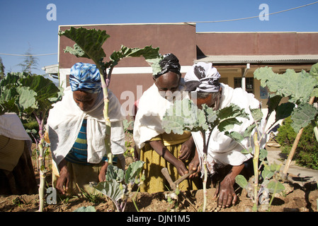 Les femmes dans l'aide aux personnes âgées Projet de charité, Addis-Abeba, Ethiopie, Afrique de l'Est Banque D'Images