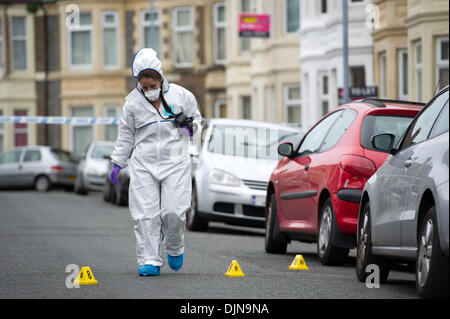 Cardiff, Wales, UK. 29 novembre 2013. Un homme a été arrêté à Cardiff après plusieurs attaques contre des rues distinctes à Cardiff. Une femme de 60 ans est à l'hôpital reçoivent le traitement pour une blessure au cou à la suite de l'incident alors qu'un homme dans la trentaine a subi des blessures au visage dans un autre assaut. L'image montre la scène sur Tewkesbury Street le 29 novembre à Cardiff, Pays de Galles, Royaume-Uni. (Photo par Matthew Horwood/Alamy Live News) Banque D'Images