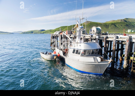 Le F/V Lucky Dove'en faux col sur Unimak Island, les îles Aléoutiennes, sud-ouest de l'Alaska, l'été. Banque D'Images