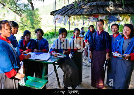 Punakha Dzong,le chef du clergé du Bhoutan avec son entourage de moines bouddhistes passent l'hiver dans ce Dzong,Environs Banque D'Images