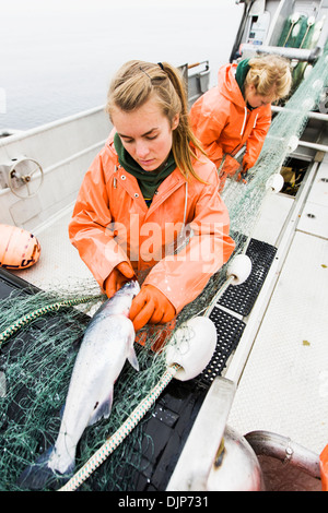 La pêche au saumon dans l'Alaska Department of Fish and Game 'péninsule d'alaska" Banque D'Images