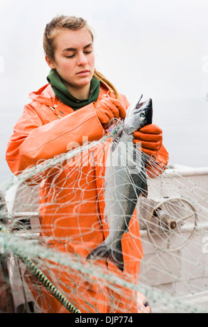 La pêche au saumon dans l'Alaska Department of Fish and Game 'péninsule d'alaska" Banque D'Images