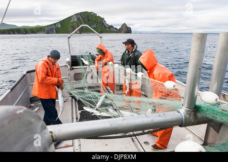 La pêche du saumon en face de l'Île Unimak Cap sur Pankoff dans l'Alaska Department of Fish and Game 'péninsule d'alaska" Banque D'Images