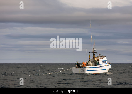 La pêche au saumon dans l'Alaska Department of Fish and Game 'péninsule d'alaska" aussi connu comme "espace M' c'est un sujet controversé de la région de pêche. Banque D'Images