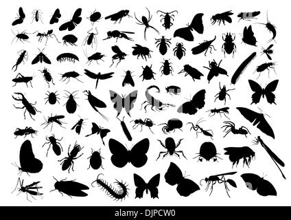 Silhouettes d'insectes isolated on white Illustration de Vecteur