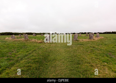 Le Merry Maidens, elle comprend dix-neuf mégalithes de granit. St Buryan, à Cornwall, Royaume-Uni. Banque D'Images