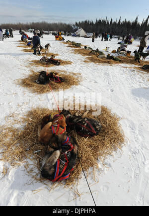 Mar 9, 2010 - Anchorage à McGrath via Denali (Alaska, USA - SEBASTIAN SCHNUELLE les chiens du reste au soleil en Nikolai comme il commence à booty jusqu'à l'équipe en préparation à partir du mardi 9 mars 2010 au cours de l'Iditarod Sled Dog Race 2010. (Crédit Image : © Bob Hallinen/Anchorage Daily News/ZUMApress.com) Banque D'Images