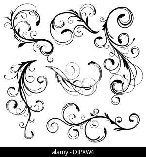 Vector illustration ensemble d'éléments floraux décoratifs tourbillonnant s'épanouit Illustration de Vecteur