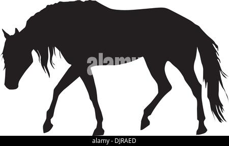 Silhouette d'un cheval Illustration de Vecteur