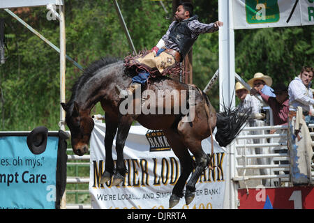 Le 08 mai 2010 - Sonora, Californie, États-Unis - 08 mai 2010 : Bareback rider Kid Banuelos de Los Angeles, CA rides Spazz au 2010 Mother Lode Round-Up à Sonora, CA. (Crédit Image : © Matt Cohen/ZUMApress.com) Southcreek/mondial Banque D'Images