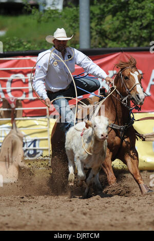 Le 08 mai 2010 - Sonora, Californie, États-Unis - 08 mai 2010 : Jason roper retenue Vohs de Las Vegas, NV fait concurrence à la Mother Lode 2010 Round-Up à Sonora, CA. (Crédit Image : © Matt Cohen/ZUMApress.com) Southcreek/mondial Banque D'Images