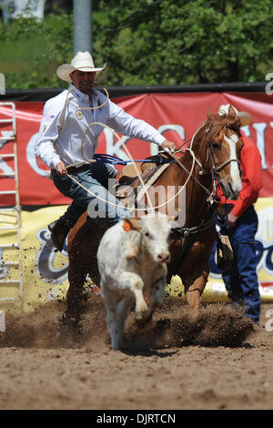 Le 08 mai 2010 - Sonora, Californie, États-Unis - 08 mai 2010 : Jason roper retenue Vohs de Las Vegas, NV fait concurrence à la Mother Lode 2010 Round-Up à Sonora, CA. (Crédit Image : © Matt Cohen/ZUMApress.com) Southcreek/mondial Banque D'Images