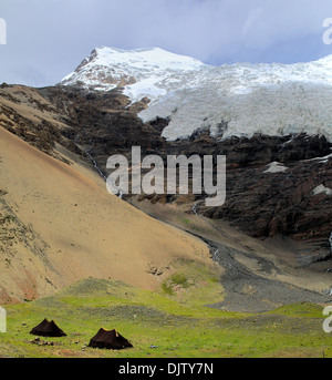 Karola Glacier (5560 m), la Préfecture de Shannan, Tibet, Chine Banque D'Images