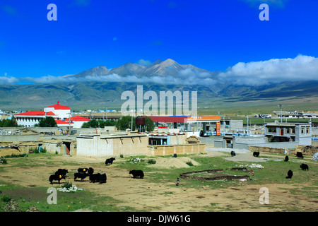 Vue du paysage depuis la gare de chemin de fer Trans-Tibetan, Tibet, Chine Banque D'Images